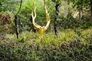 arbre or foret broceliande