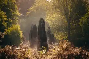 Alignement de menhirs à Monteneuf dans la brume matinale, entouré de nature
