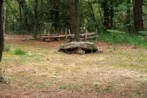 Site mégalithique de Monteneuf avec dolmens et forêt environnante
